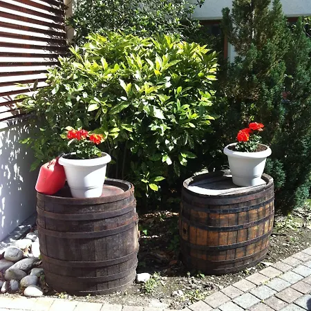 Les Berges מלון Chippis