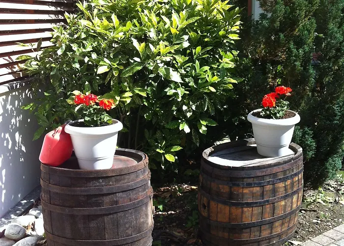 Les Berges Hotel Chippis